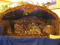 PastorinoCl01