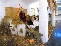 presepe4