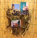 IMG_mostra64a