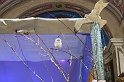Nervi_016
